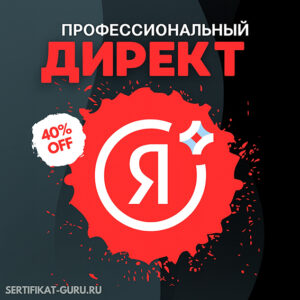 директ профессиональный